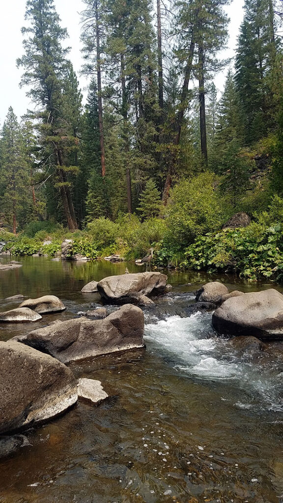 The Ultimate Guide to Success On the McCloud River