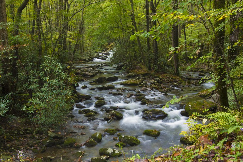 Tennessee Trout Stocking Schedule 2022 Where You Need To Fish 