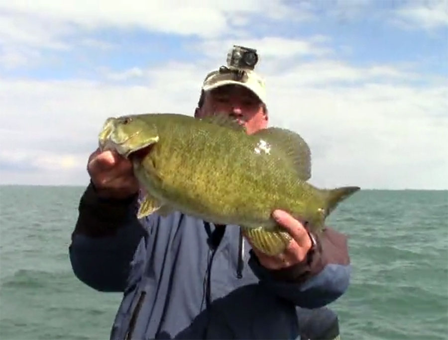 Smallmouth Caught on Lake St Clair