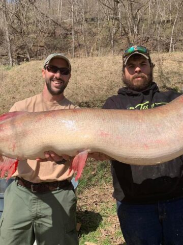 New West Virginia State Record Muskie